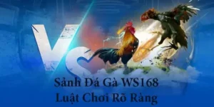Hướng Dẫn Chi Tiết Cách Chơi Đá Gà WS168 Tại M88 Thắng Lớn Mỗi Ngày