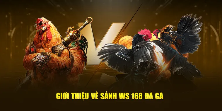 Hướng Dẫn Chi Tiết Cách Chơi Đá Gà WS168 Tại M88 Thắng Lớn Mỗi Ngày 2 Hướng Dẫn Chi Tiết Cách Chơi Đá Gà WS168 Tại M88 Thắng Lớn Mỗi Ngày