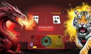 Tuyệt Kỹ Chơi Dragon Tiger Tại M88 Bách Chiến Bách Thắng