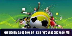 Bí Quyết Cá Cược Bóng Đá M88 Thắng Lớn Từ Chuyên Gia Hàng Đầu